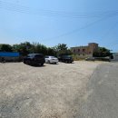 성화반점 이미지