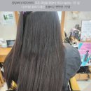 머리짓다 - 안양시 동안구 | 머리짓다