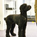 단미화장품 | 남악피부관리 무안 남악 "단미뷰티"에서 피부관리 받고 왔어요.