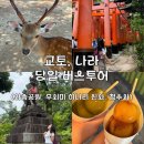오사카 | 교토, 나라 당일 1일 여행, 버스투어 후기 내돈내산 (사슴 공원, 여우 신사, 청수사)