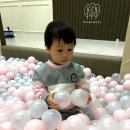 포레스트엘피