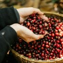 엘 농장 이미지