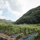 경기 파주시 해마루촌, 헤이리예술마을 등 여행지