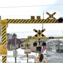 강남-047 | ✈️[일본] 삿포로 4박 5일 해외여행 3편 - 오타루 운하 마지산도 르타오 오르골 본당 시부키 신겐라멘 후기