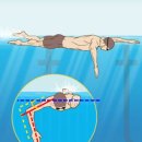 하이캐치 이미지