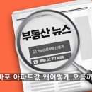 The바른공인중개사사무소 이미지