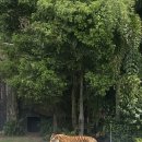 드림월드타운 이미지