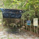 냉천골약수터 이미지