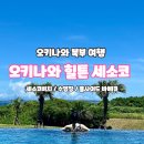 Poolside(풀사이드) | 오키나와 힐튼 세소코 - 비치, 수영장, 풀사이드 바베큐 후기!