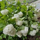 쉼터농장 이미지