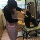 도쿠애견미용학원 - 성동구 무학로2길 50 | 도쿠애견미용학원