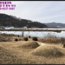 지방도905호선2 이미지