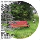 푸른잔디 이미지