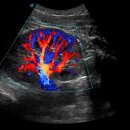 (주)유티비 이미지