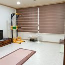 상남동293 이미지