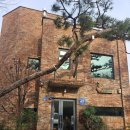 파스토랄 | 행주산성 카페 추천, 파스토랄