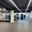 라온복싱 이미지