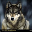 우공이산 이미지