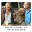 멍멍이미용실 - 동구 대전로 641 | 멍멍이미용실