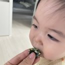 원주 맘마찬 완료기 이유식 주문 후기