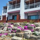 해가람하우스 펜션 이미지