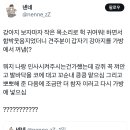 출장가려고 KTX 탔더니 옆자리에 하얀 강아지가 있다 이미지