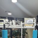 커브스자양클럽 이미지