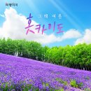중부여행사