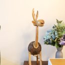 제이네집 이미지