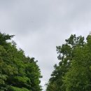 영남모터싸이클 이미지