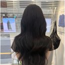 디유즈헤어&붙임머리 이미지