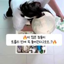 코코맘