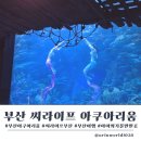 이엘파트너스 | 씨라이프 부산 아쿠아리움 아이와 함께 다녀온 솔직 후기 (feat.입장료 할인꿀팁)