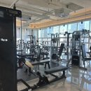 헤라클레스 피트니스 이미지