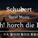 Schubert Serenade_2곡 ＜들어라 들어라 종달새＞ &amp; ＜백조의 노래＞ 이미지