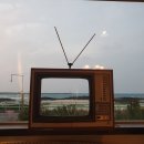 미영청과 - 서천군 충절로49번길 36 | [국내여행] 제주도 자유여행 3박 4일 후기