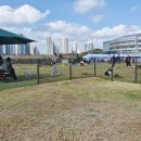 와스타디움 이미지