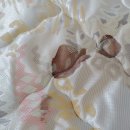 하우스위프 강릉점 이미지