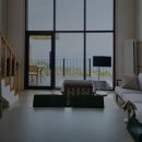 거북바위펜션 | 거북바위 및 향나무 자생지 (울릉도, 독도 국가지질공원) 근처 숙소 추천 3곳: 가격과 후기 장단점 정리