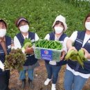 행복공작소(주) 이미지