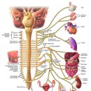 예천경희한의원 이미지