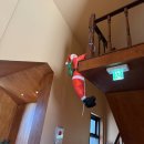 툇마루 | 강릉 카페 툇마루 주말 웨이팅 후기