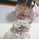 율이농장 이미지