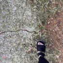 동우농장 이미지