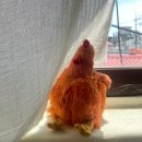 마포-현장-마포-1427 | 망리단길 맛집 키친갈매기ㅣ 건강하고 정갈한 제철 가정식 평일 오픈런 후기