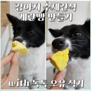 계란빵야채빵 | 쉬운 강아지 수제간식 만들기: 계란빵 (반려견 밥그릇 독톡 오유 실사용 후기)