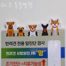 Dr. 주 동물병원 이미지