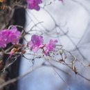 금빛근린공원 이미지