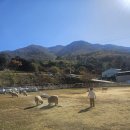 승준목장 이미지