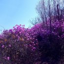 뚜레쥬르부산남천점 이미지